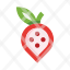 strawberryberry-icon