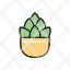 succulent-garden-plant-environment-houseplant-echeveria-icon
