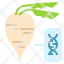 sugarbeet-gmo-genetic-engineering-plant-icon