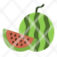 summer-watermelon-fruit-healthy-melon-icon