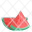 summer-watermelon-fruit-melon-food-icon