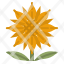 sunflower-botanical-blossom-sun-flower-icon