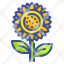 sunflower-flower-blossom-nature-botanical-icon