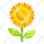 sunflower-flower-blossom-nature-botanical-icon