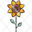sunflower-flower-nature-plant-blossom-icon