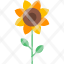 sunflower-flower-nature-plant-blossom-icon