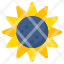 sunflower-floweret-blossom-botany-nature-icon
