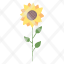 sunflower-plant-nature-icon