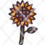 sunflowerflower-farming-gardening-botanical-blossom-petals-nature-icon