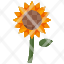 sunflowerflower-farming-gardening-botanical-blossom-petals-nature-icon