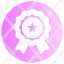 symbol-star-rating-level-rank-gradient-pink-icon