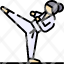 taekwondo-icon