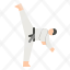 taekwondo-martial-arts-sport-fight-icon