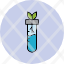 test-tube-plant-light-water-icon