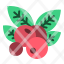 thanksgiving-berries-berry-fruit-food-healthy-icon