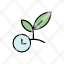 time-cosuming-timer-agriculture-growing-sapling-icon