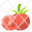 tomato-vegetable-food-organic-vegetarian-icon