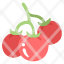 tomatoes-agriculture-food-fresh-healthy-plant-tomato-icon