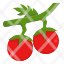 tomatoes-vegetable-food-plant-red-icon