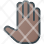 touchhand-gesture-open-five-hi-icon