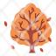 tree-autumn-branch-fall-leaf-october-season-icon