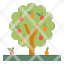 tree-fruit-nature-growing-farming-icon