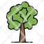 tree-plant-growth-icon