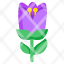 tulip-flower-floweret-blossom-botany-nature-icon