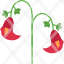 tulip-flower-gesneriana-floral-blossom-icon