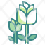tulip-flower-plant-nature-garden-spring-season-icon
