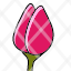 tulip-flower-spring-gardening-plant-icon
