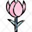 tulipeaster-flower-nature-plant-spring-icon