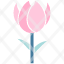 tulipeaster-flower-nature-plant-spring-icon