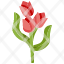 tulipflower-nature-botanic-botanical-garden-blossom-rose-leaves-leaf-icon