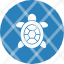 turtle-animal-ocean-reptile-sea-icon-vector-design-icons-icon