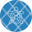turtle-animal-ocean-reptile-sea-icon-vector-design-icons-icon