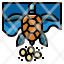 turtle-reptile-wildlife-aquarium-lay-eggs-icon