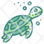 turtle-sea-aquatic-animal-aquarium-icon