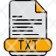 txt-document-file-format-page-icon