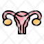 uterus-ovary-ovaries-reproductive-female-icon