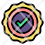 validity-validate-certified-award-check-analysis-icon