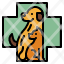 veterinary-sign-pet-healthcare-medical-icon