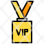 vip-pass-id-card-event-icon