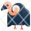 vulture-animal-icon