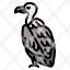 vulture-bird-wild-west-griffon-animal-icon