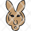 wallaroo-wild-face-animal-kangaroo-icon