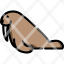 walrus-icon