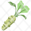 wasabi-agriculture-fresh-healthy-food-fruit-bunch-icon