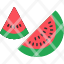 water-melonfood-fruit-fruits-healthy-watermelon-icon