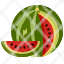 water-melonfruit-food-organic-vegan-healthy-diet-vegetarian-restaurant-icon